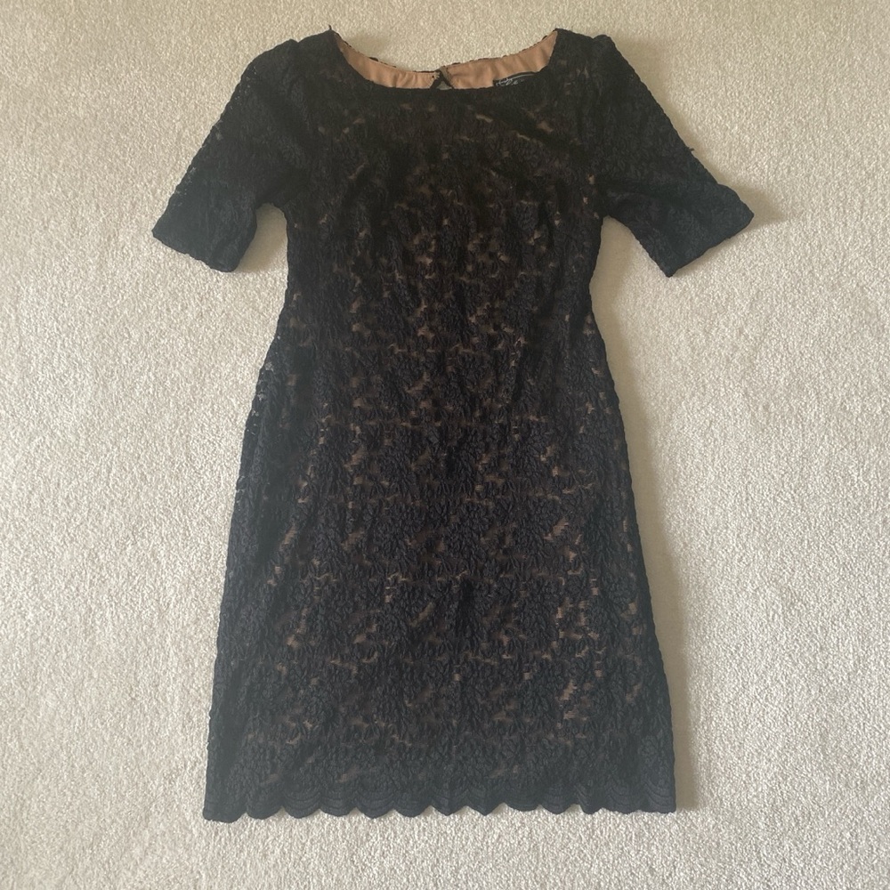 dressbarn Black and Brown Lace Dress 6 Petite
